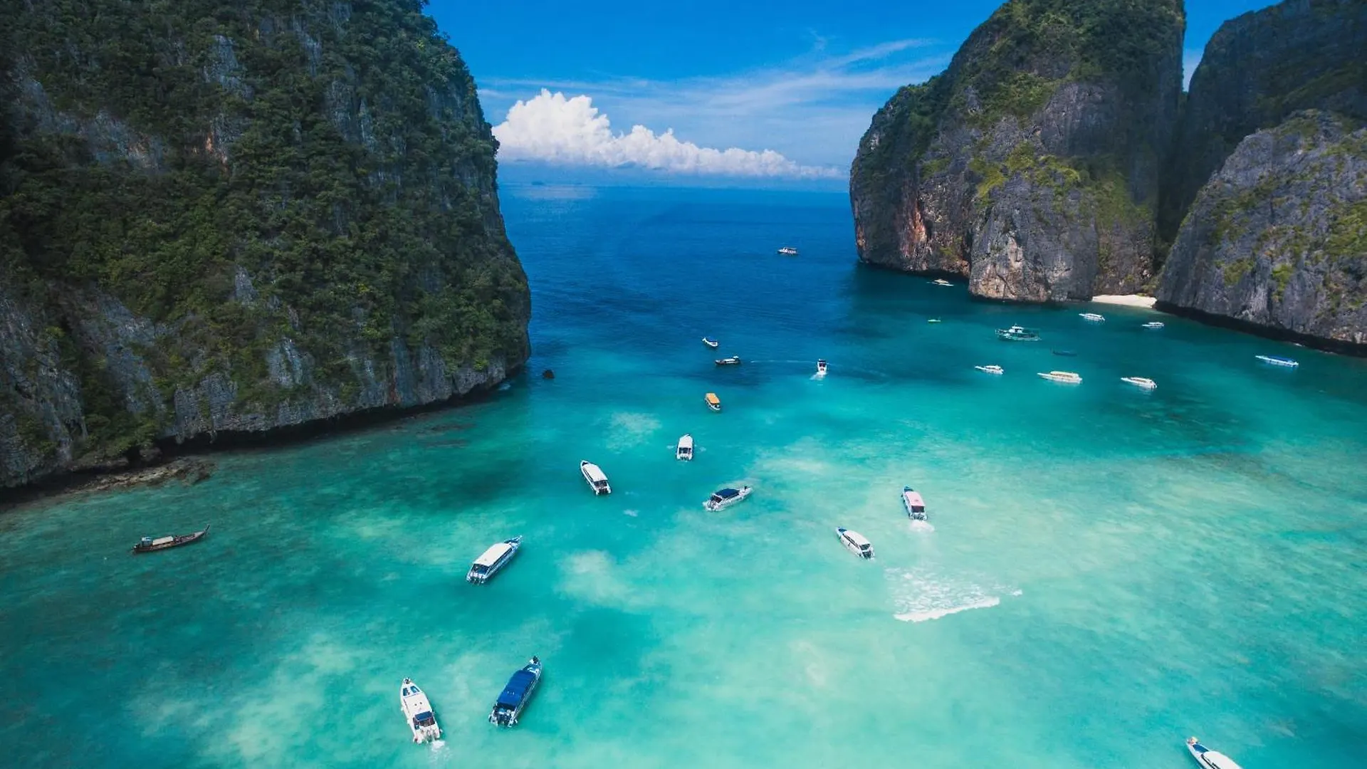 Summer Sea Phi Phi Island Thaïlande